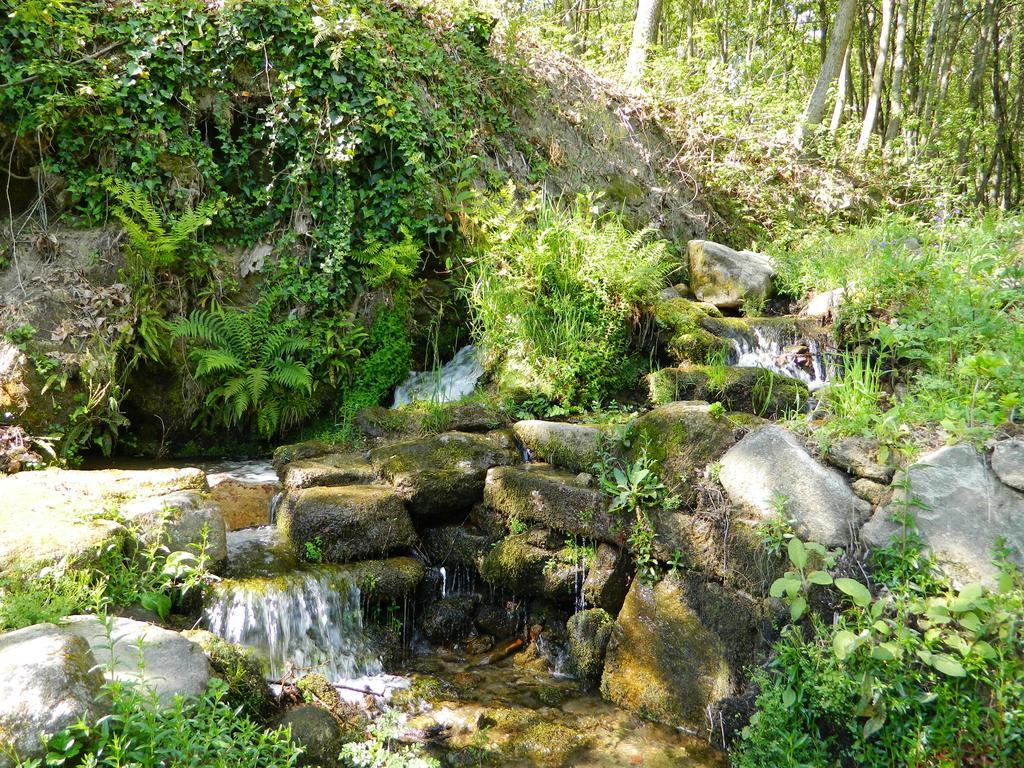Quinta Lamosa Agroturismo Arcos de Valdevez Eksteriør billede